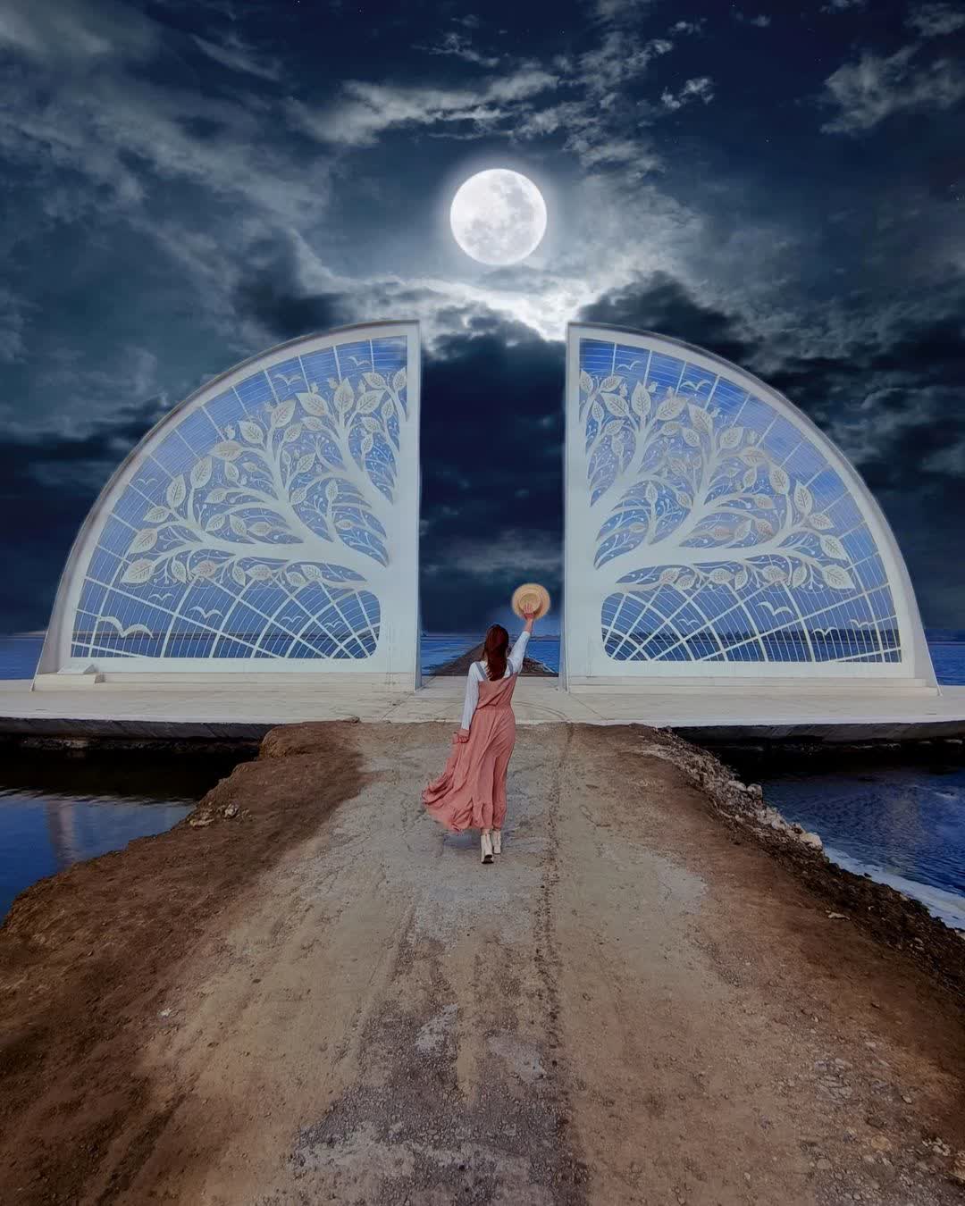 生命之樹 | 去趣 chicTrip