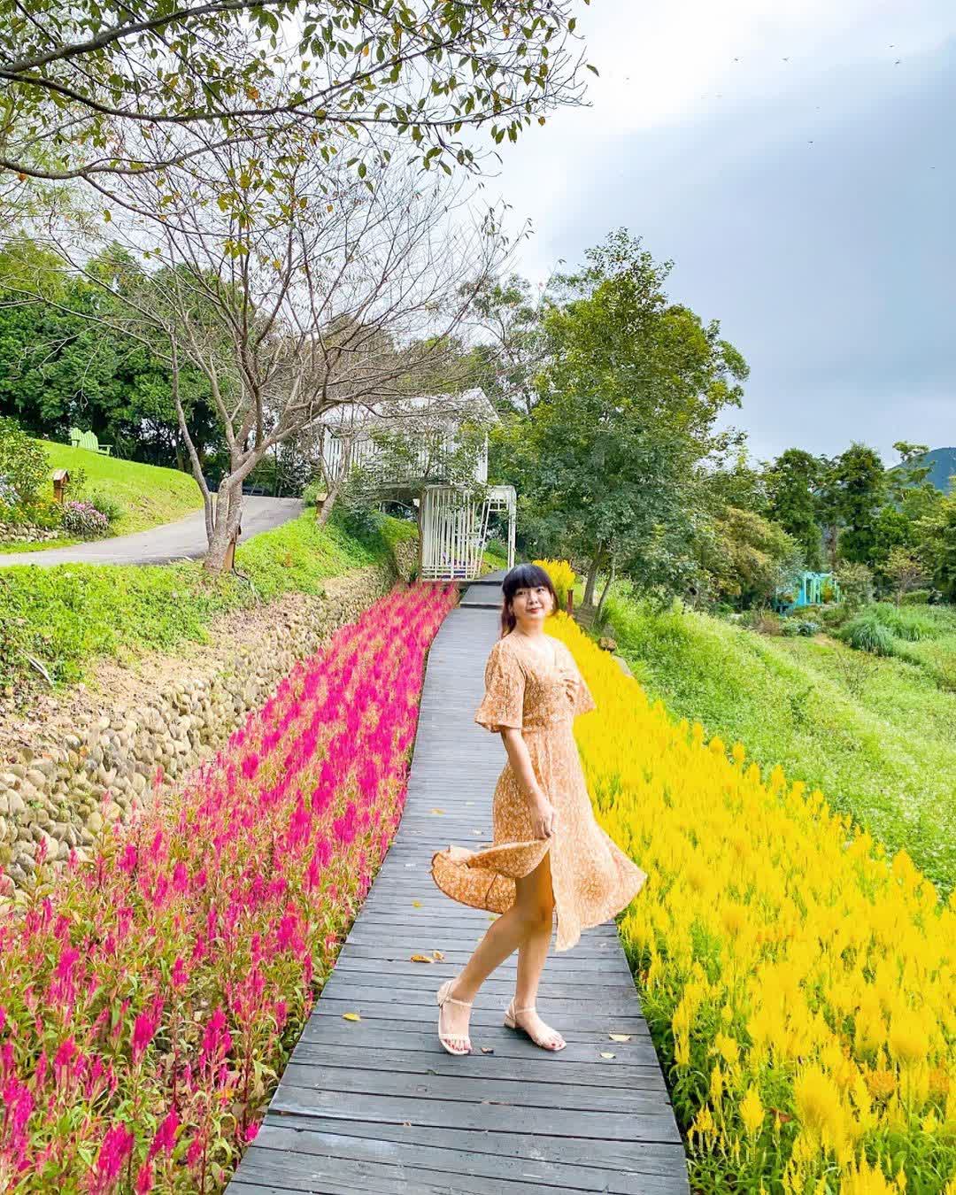 薰衣草森林新竹尖石店 | 去趣 chicTrip