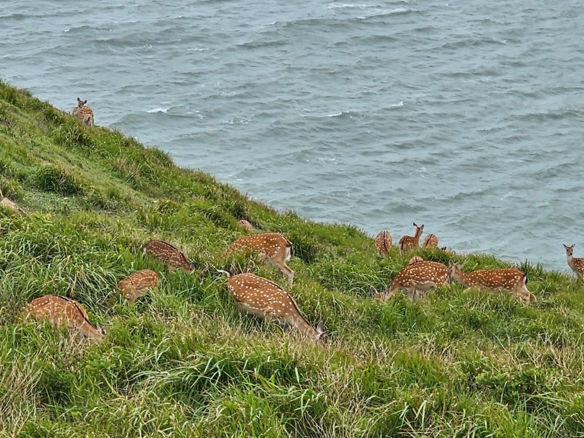 大坵島 | 去趣 chicTrip