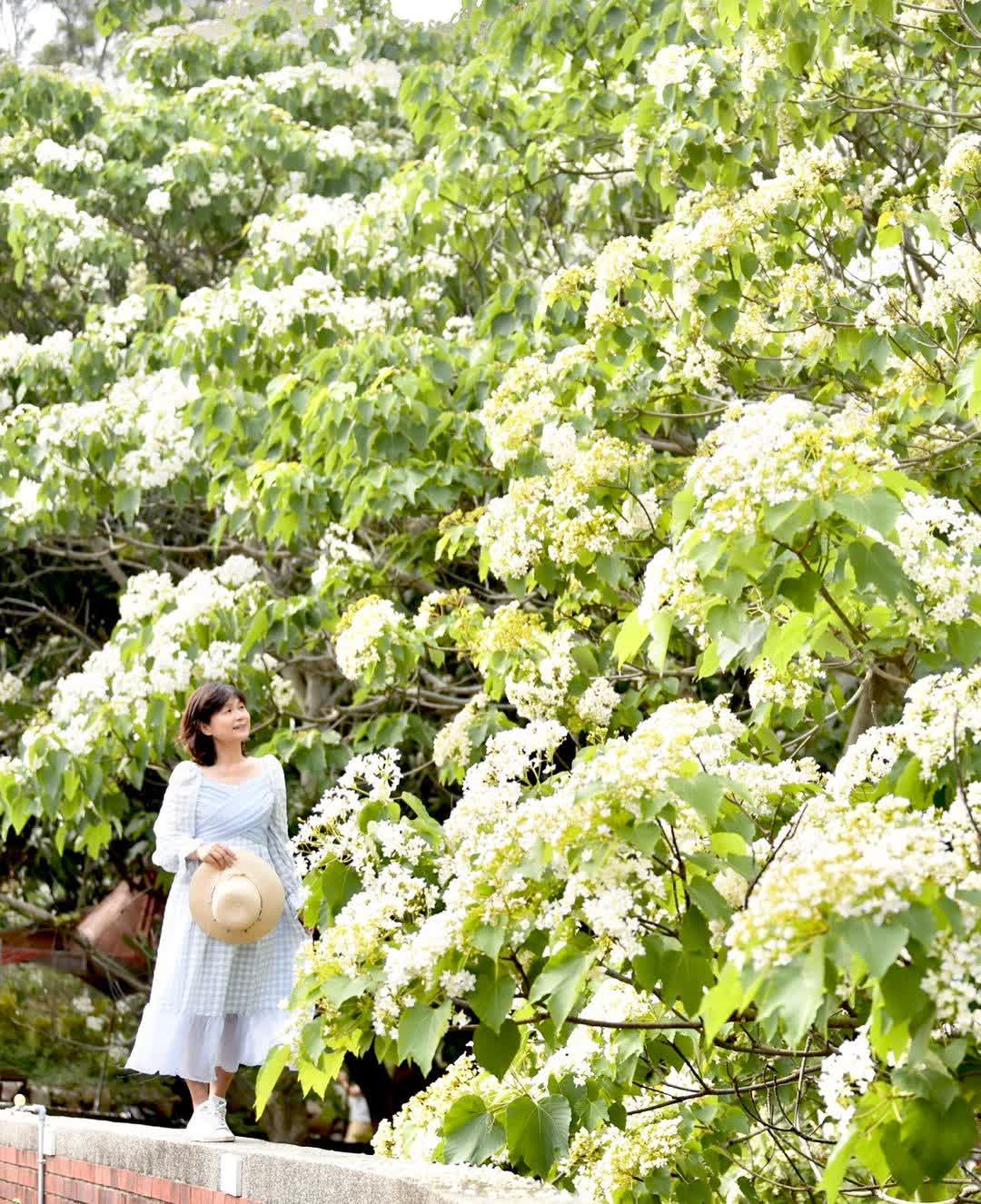 姜太公中部道場-客家大院 | 去趣 chicTrip