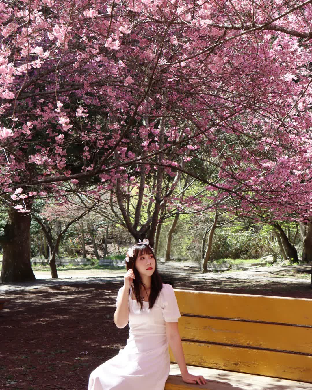 武陵農場 | 去趣 chicTrip