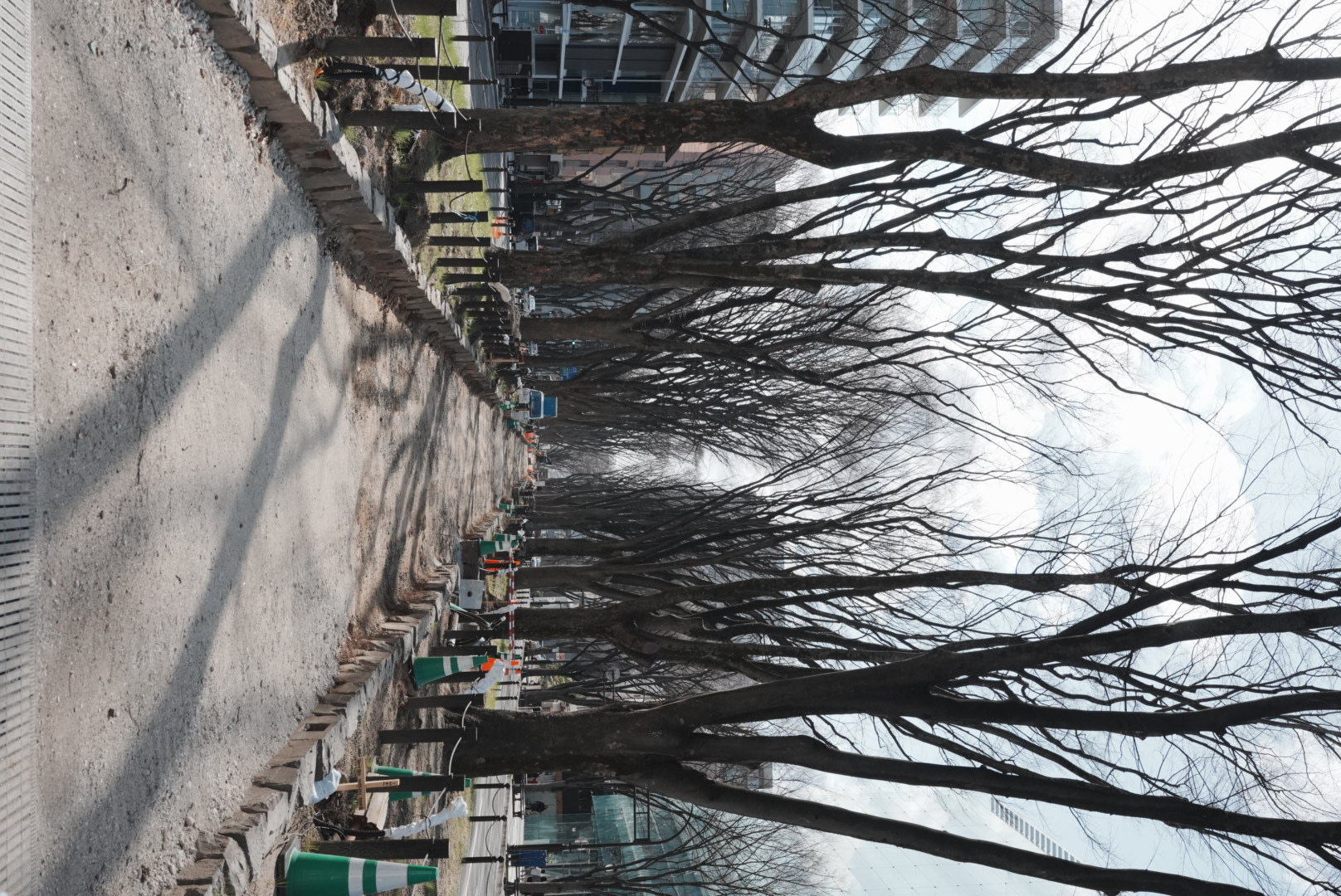 定禪寺通綠地 | 去趣 chicTrip