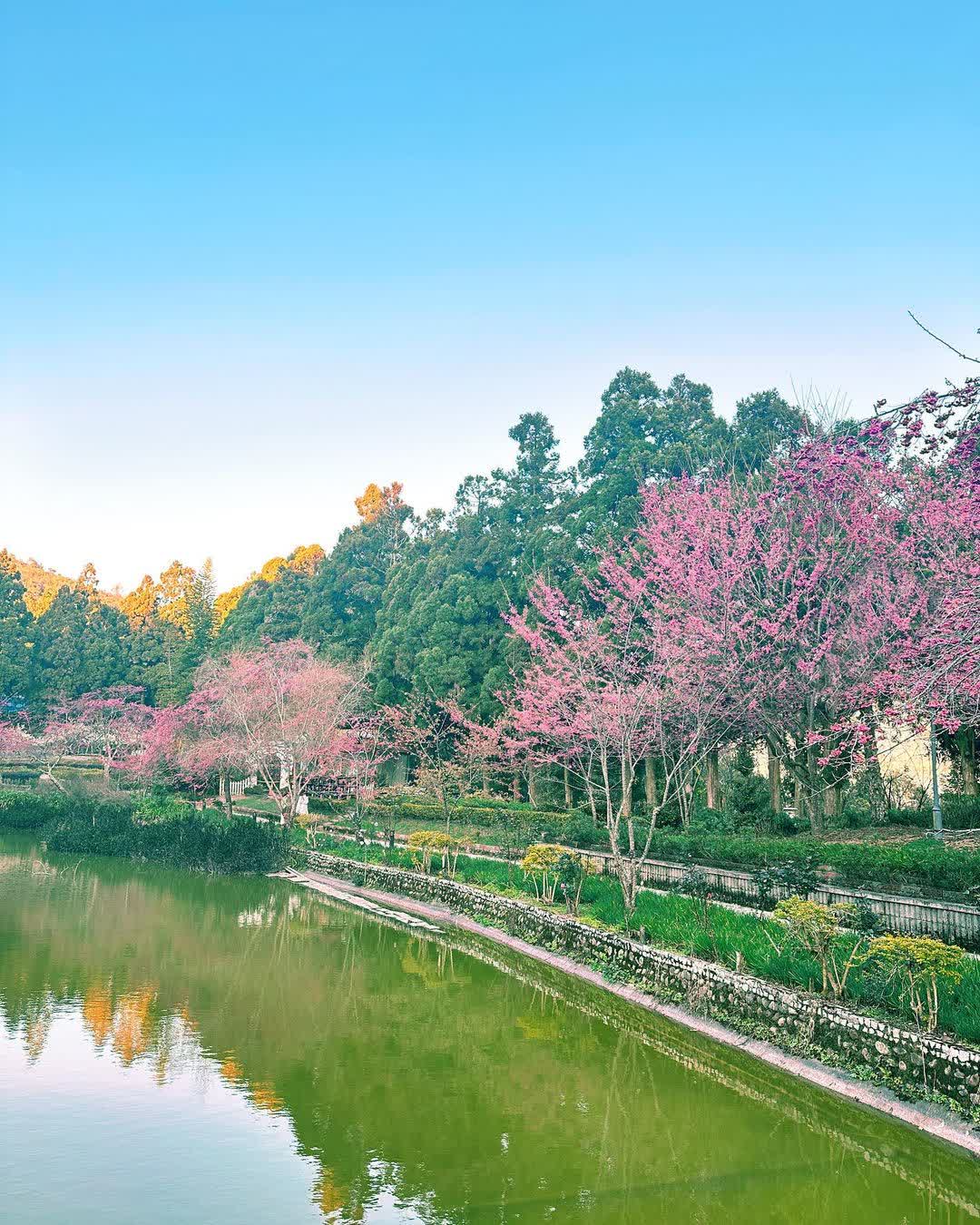 清境農場小瑞士花園 | 去趣 chicTrip