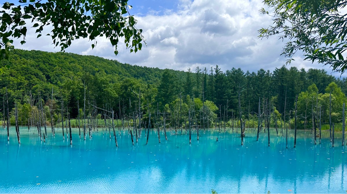 白金青池 | 去趣 chicTrip