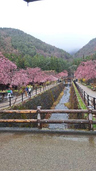 西湖 療癒之里 根場 | 去趣 chicTrip