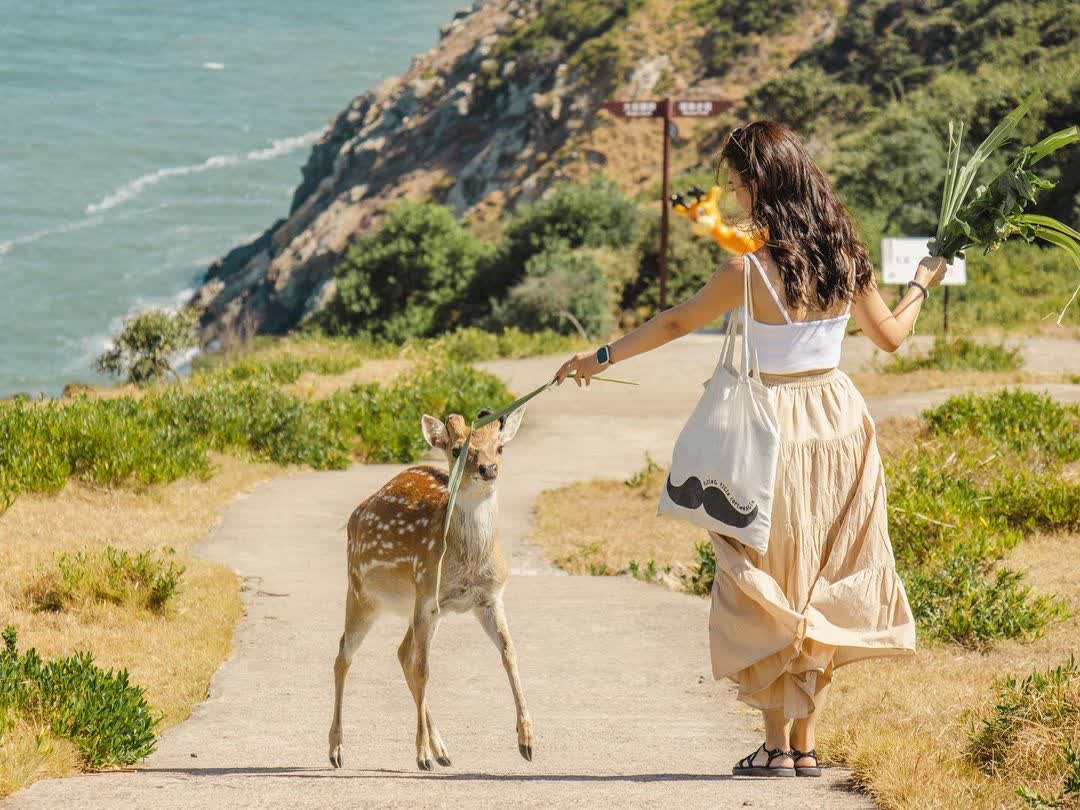大坵島 | 去趣 chicTrip