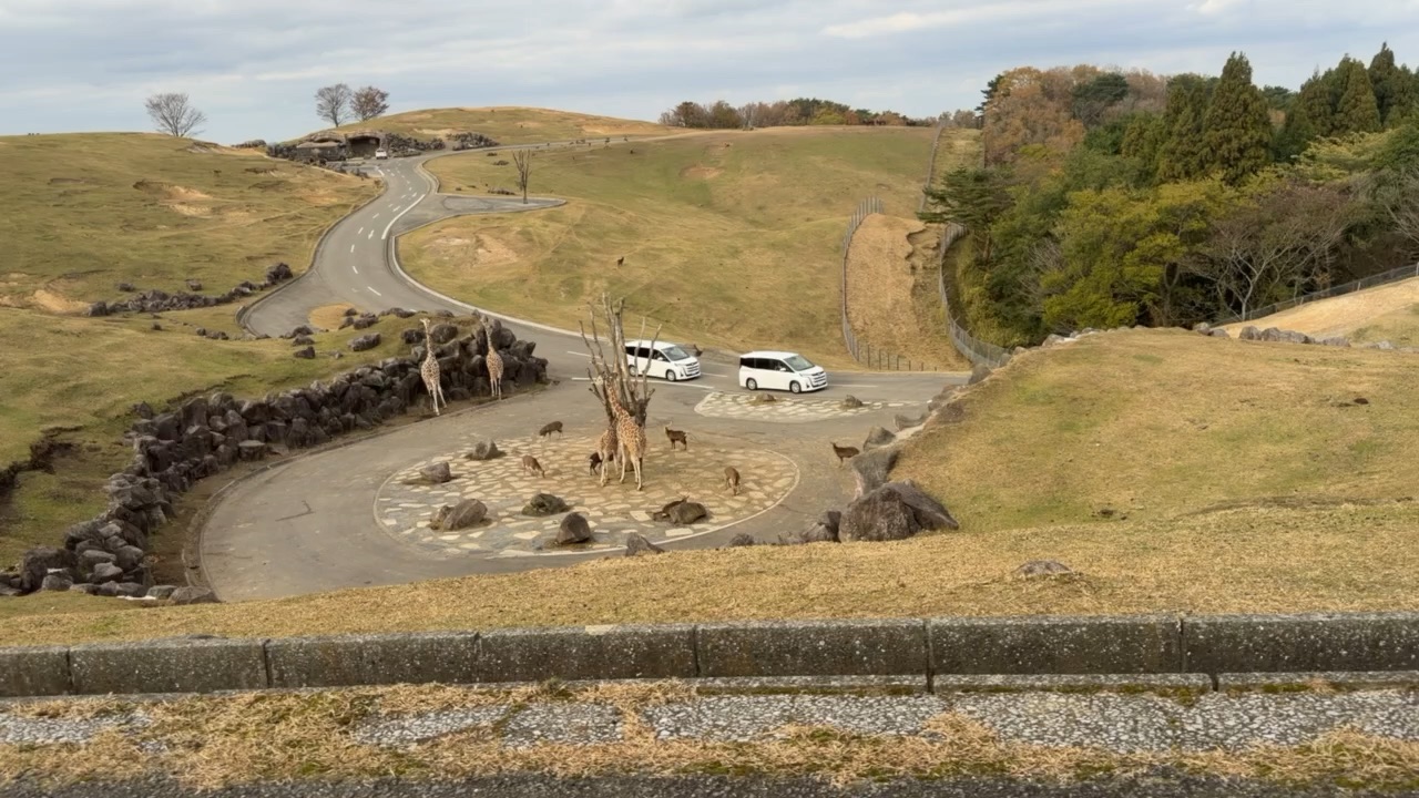 九州自然動物園 | 去趣 chicTrip