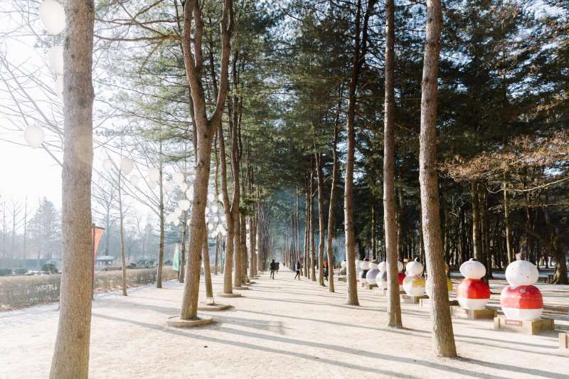 南怡島남이섬 | 去趣 chicTrip