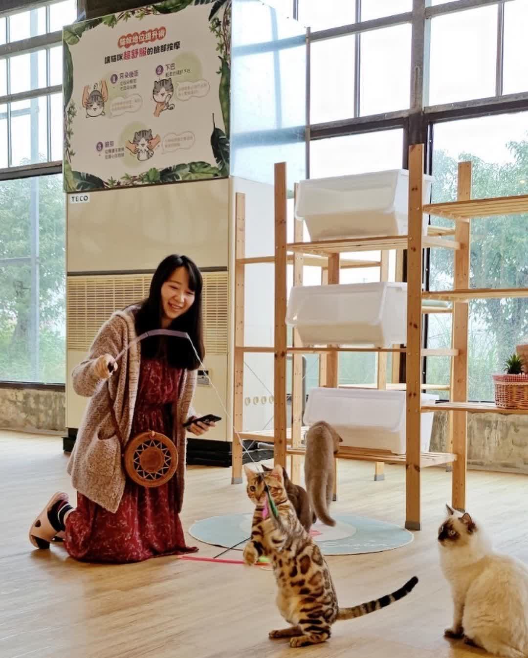 金車礁溪蘭花園附設動植物生態館 | 去趣 chicTrip