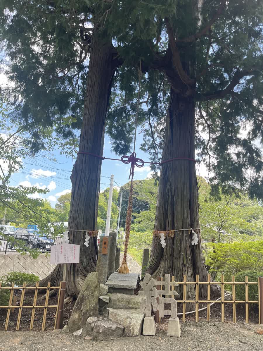 武雄神社 | 去趣 chicTrip