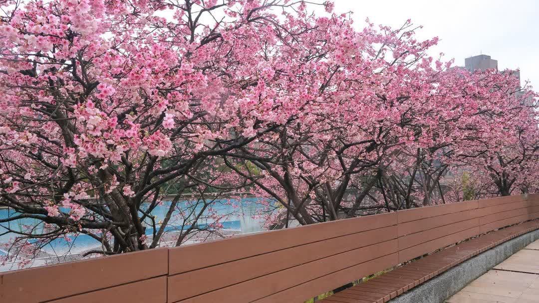 樂活公園 | 去趣 chicTrip