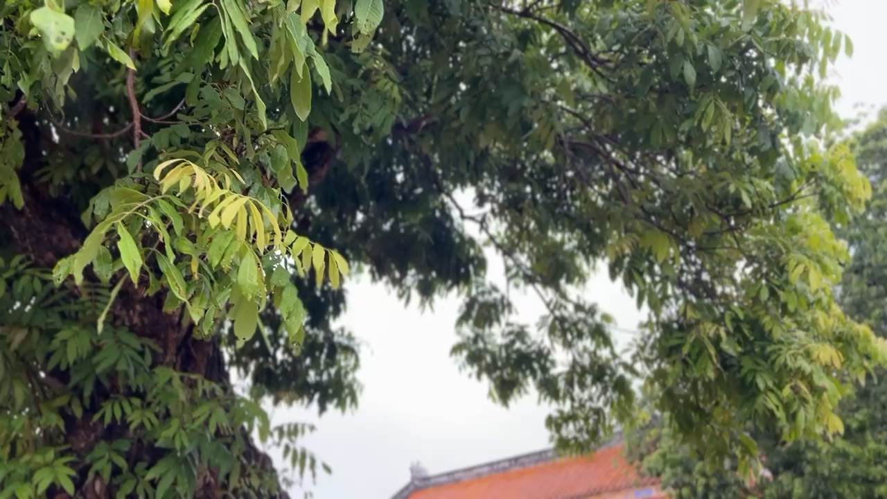 順化皇城 | 去趣 chicTrip