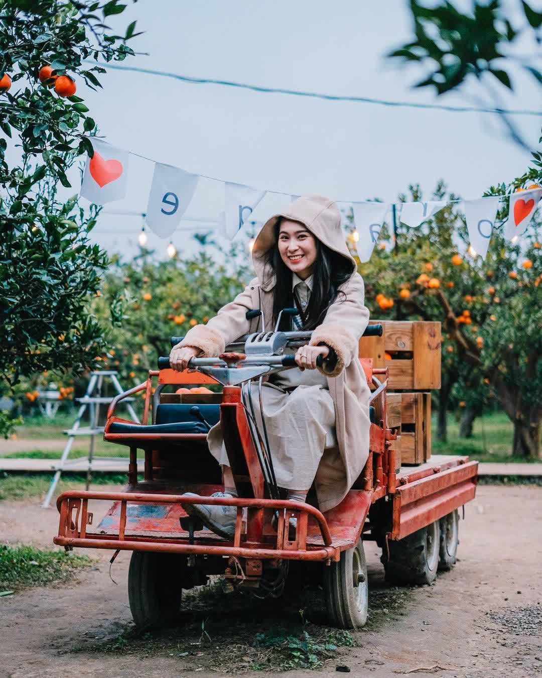 橙香森林 | 去趣 chicTrip