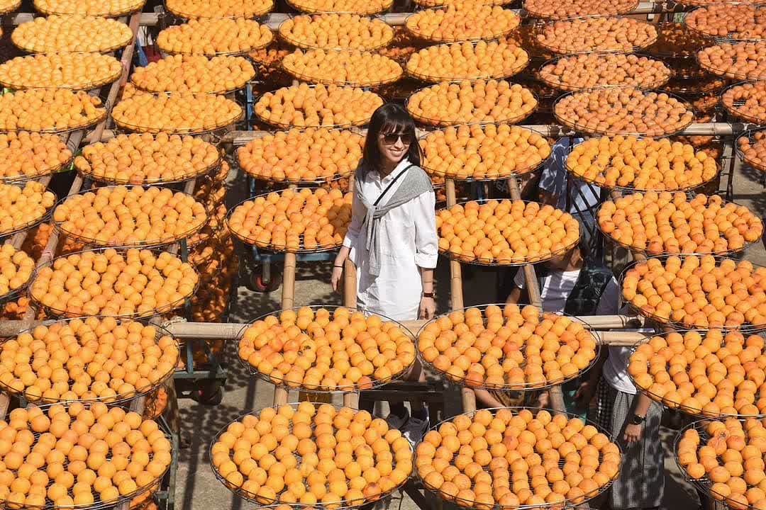 味衛佳柿餅教育農園 | 去趣 chicTrip