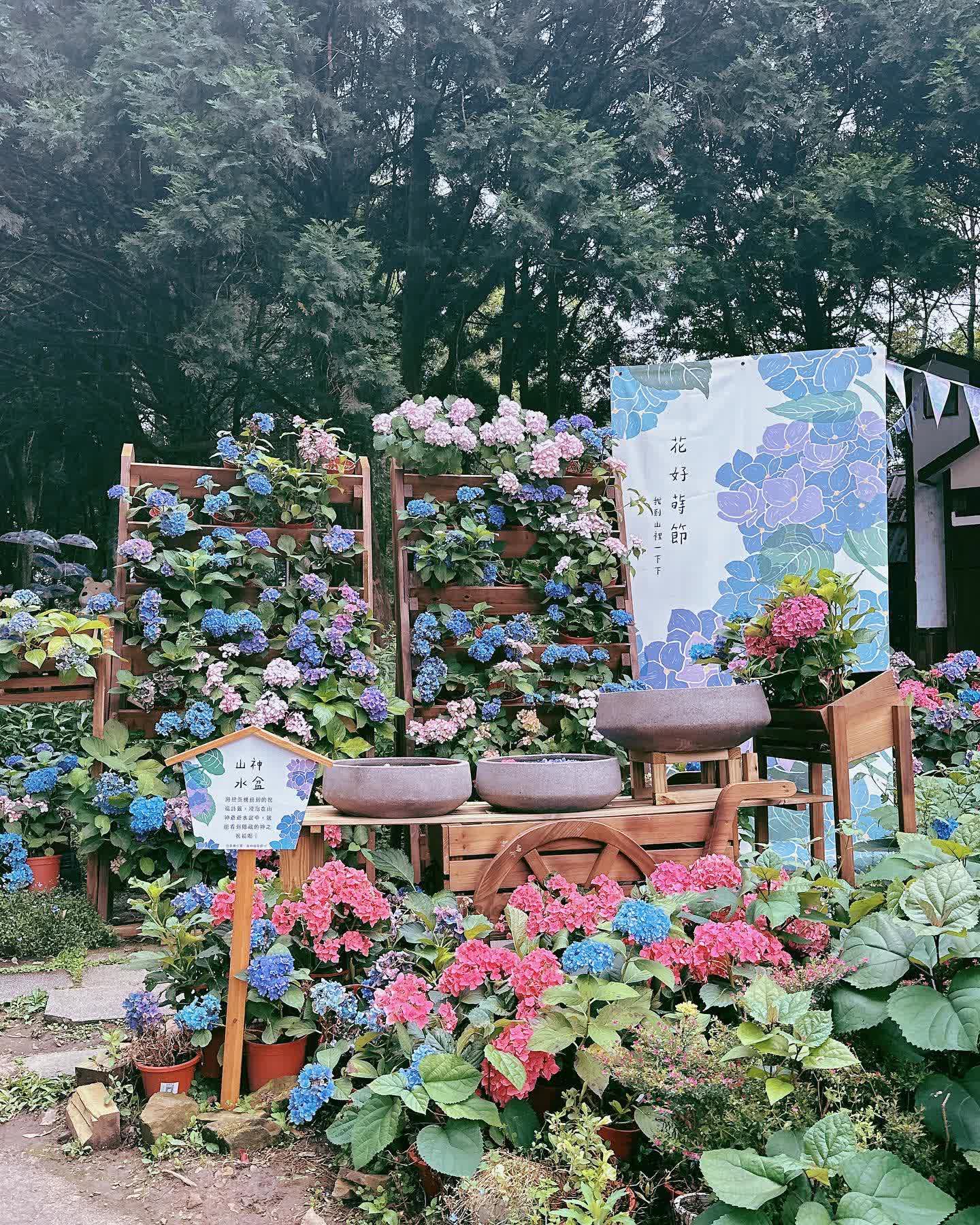 薰衣草森林新竹尖石店 | 去趣 chicTrip