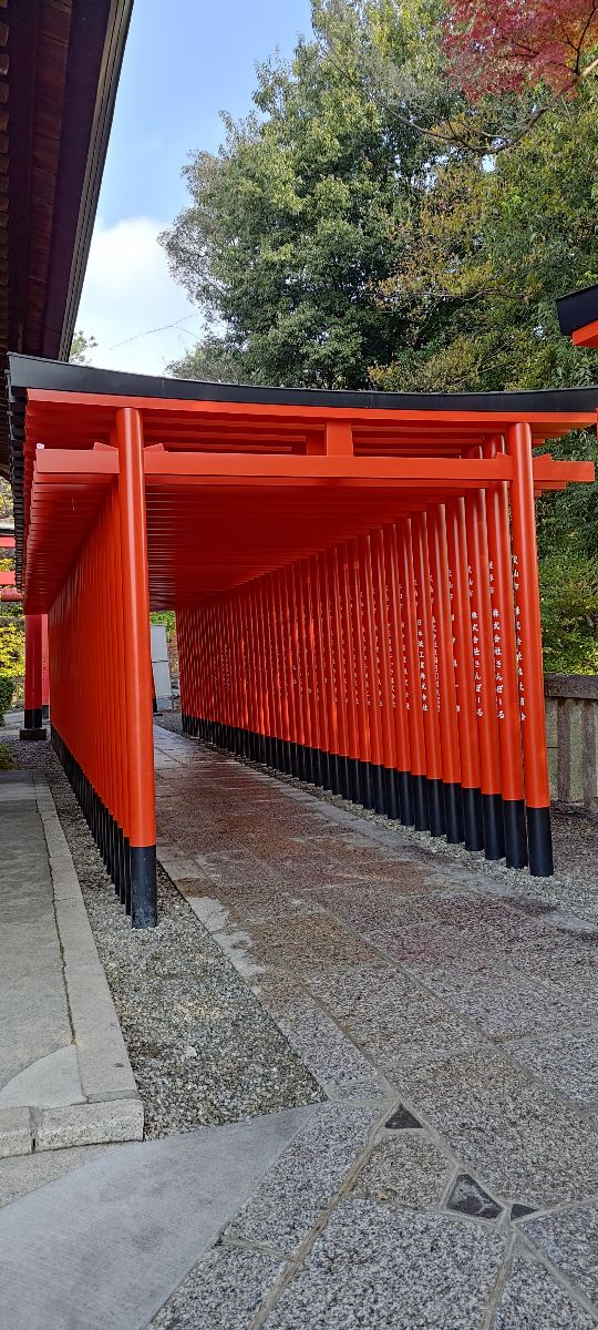 犬山城 | 去趣 chicTrip