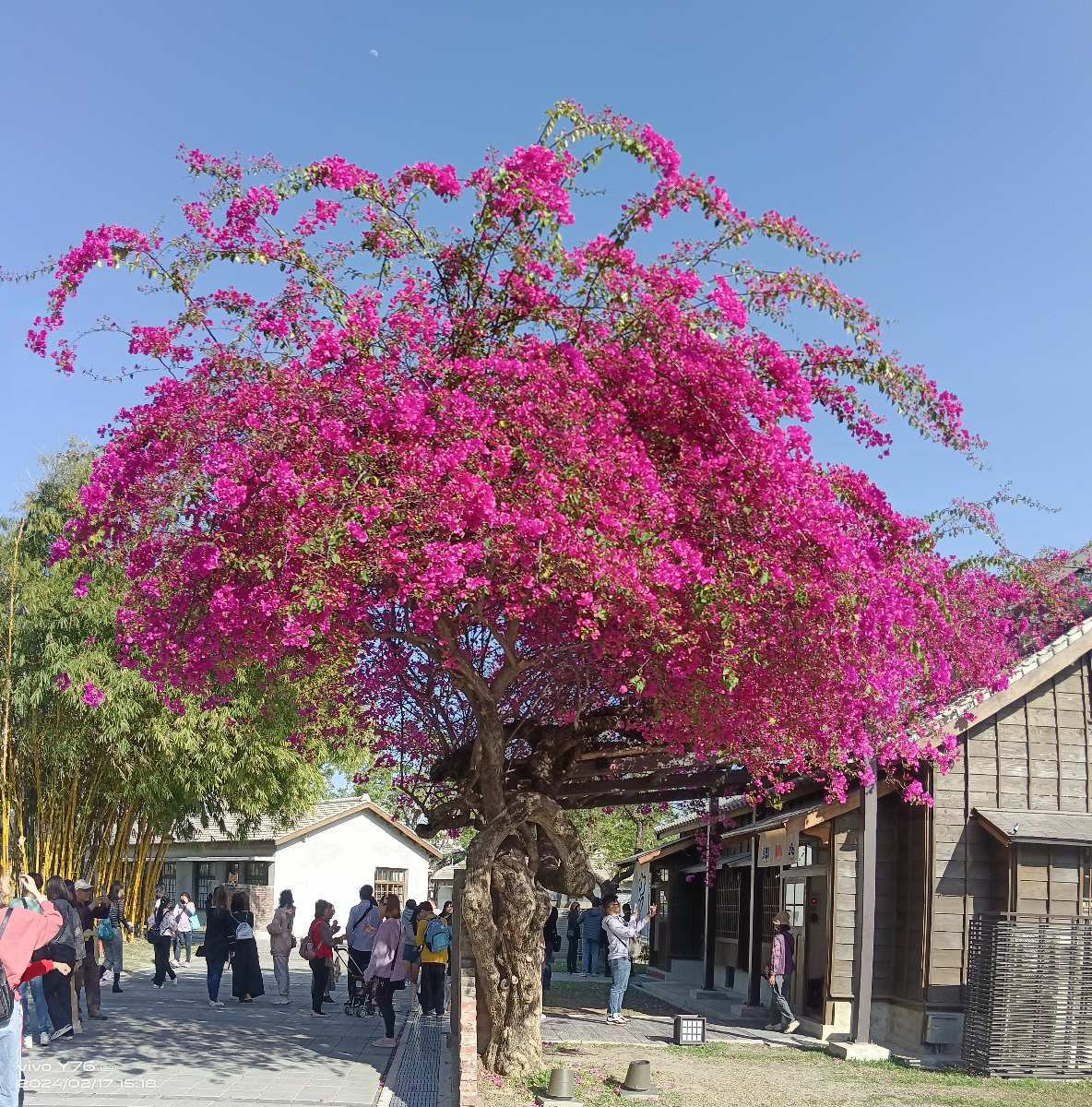 國家漫畫博物館 | 去趣 chicTrip