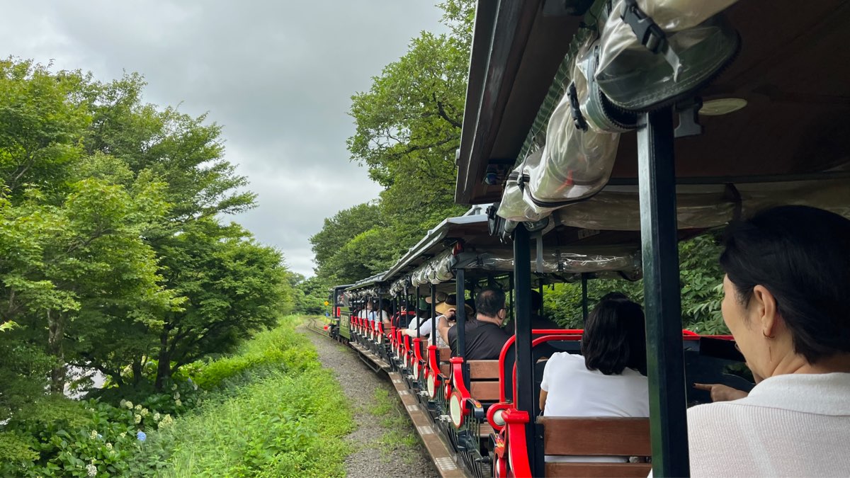 ECOLAND 森林小火車 | 去趣 chicTrip