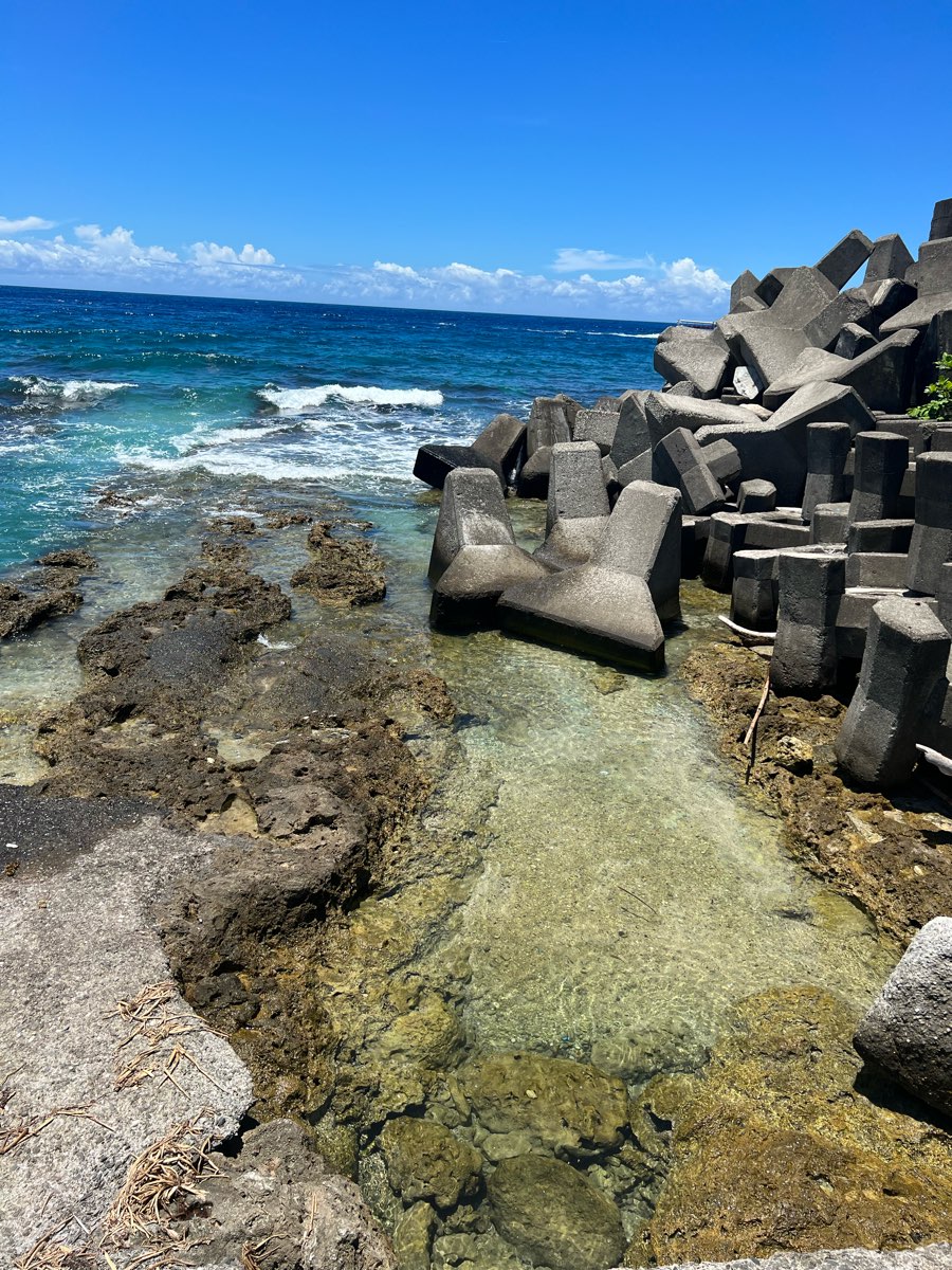 網美老木 | 去趣 chicTrip