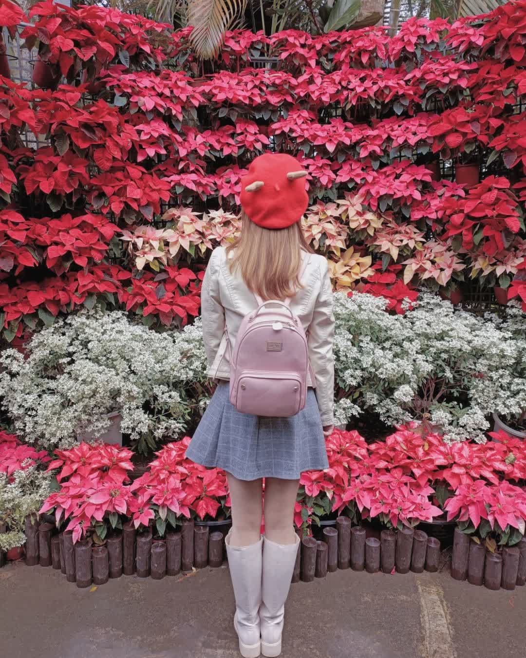 花露農場 Flower Home | 去趣 chicTrip