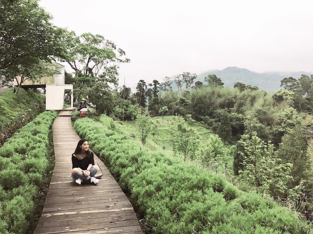 薰衣草森林新竹尖石店 | 去趣 chicTrip