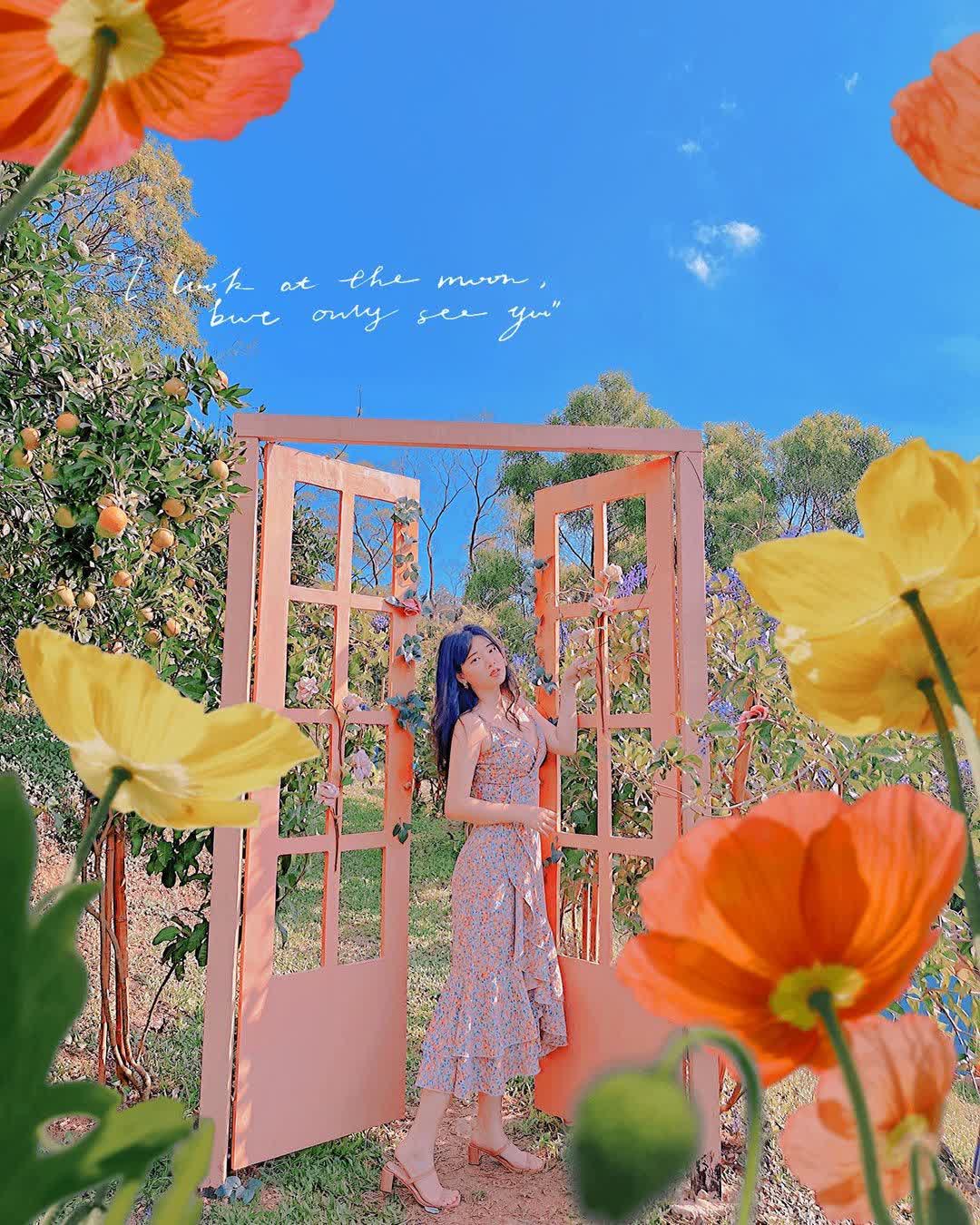 橙香森林 | 去趣 chicTrip