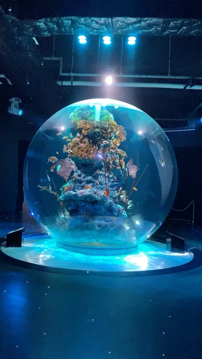 átoa 藝術水族館 | 去趣 chicTrip
