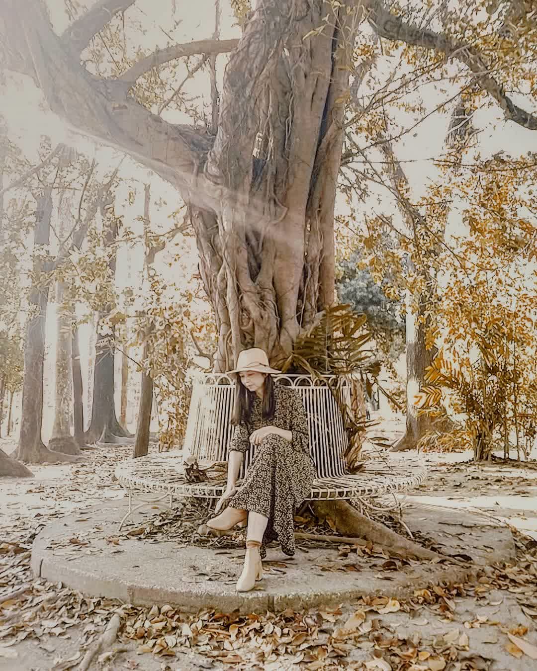 橋頭糖廠-糖業博物館 | 去趣 chicTrip