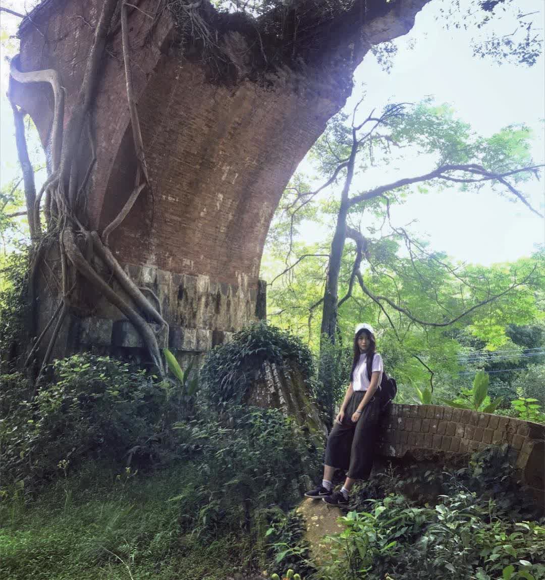 龍騰斷橋(魚藤坪斷橋) | 去趣 chicTrip