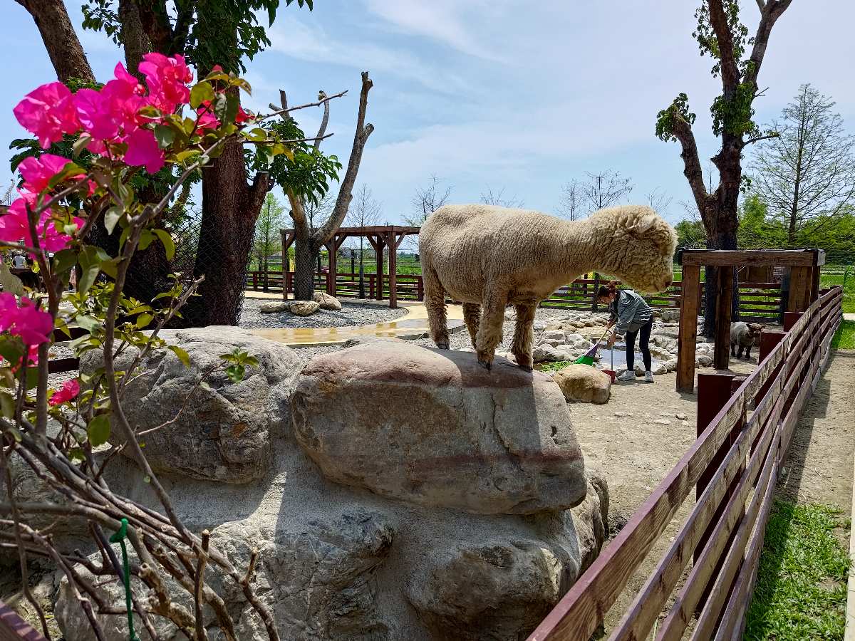 蘭陽動植物王國 | 去趣 chicTrip