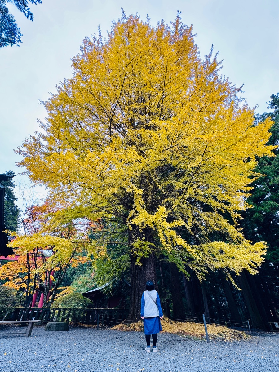 北口本宮富士淺間神社 | 去趣 chicTrip