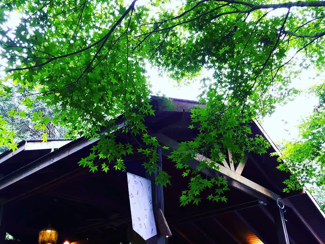 薰衣草森林台中新社店 | 去趣 chicTrip