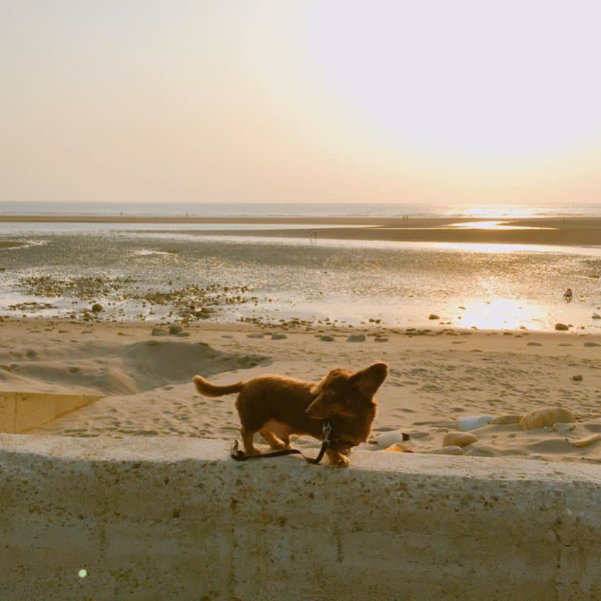 永安漁港 | 去趣 chicTrip