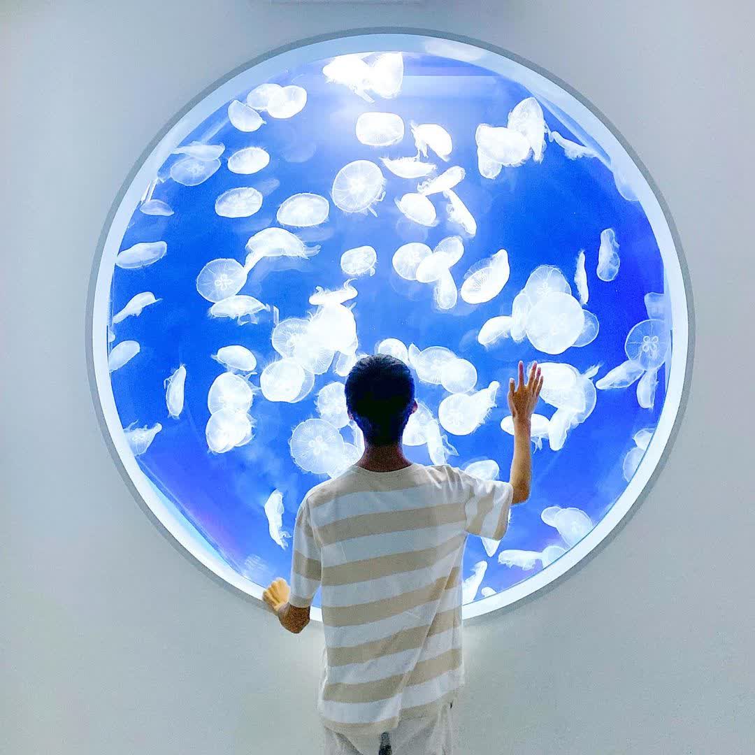 Xpark 水族館 | 去趣 chicTrip