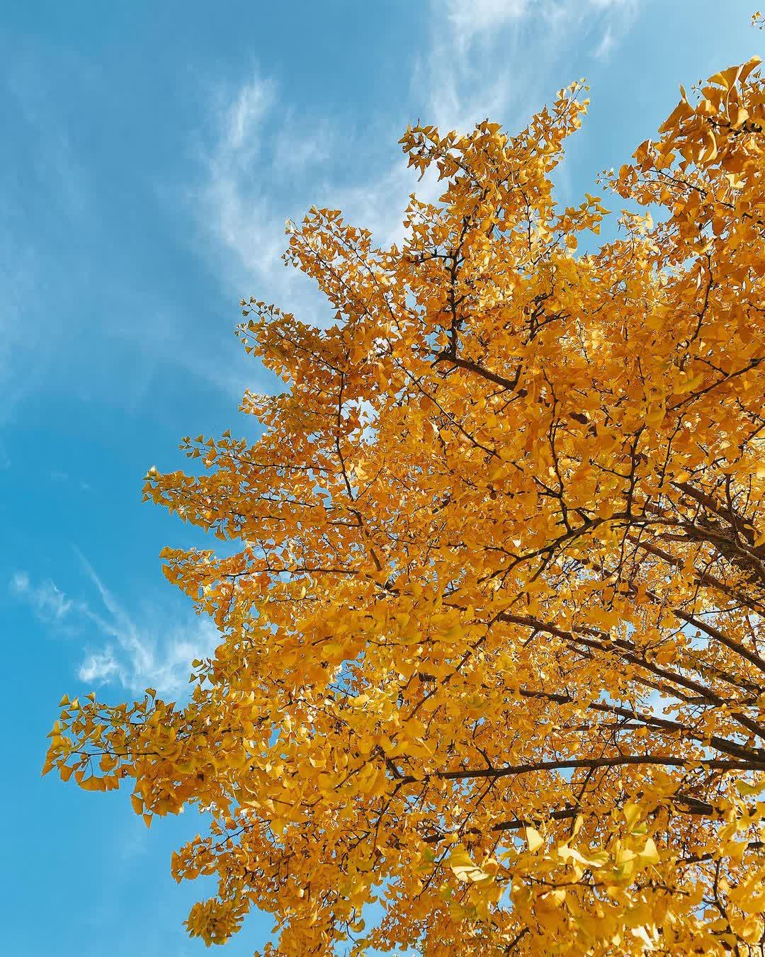 東京車站丸之內站前廣場 | 去趣 chicTrip