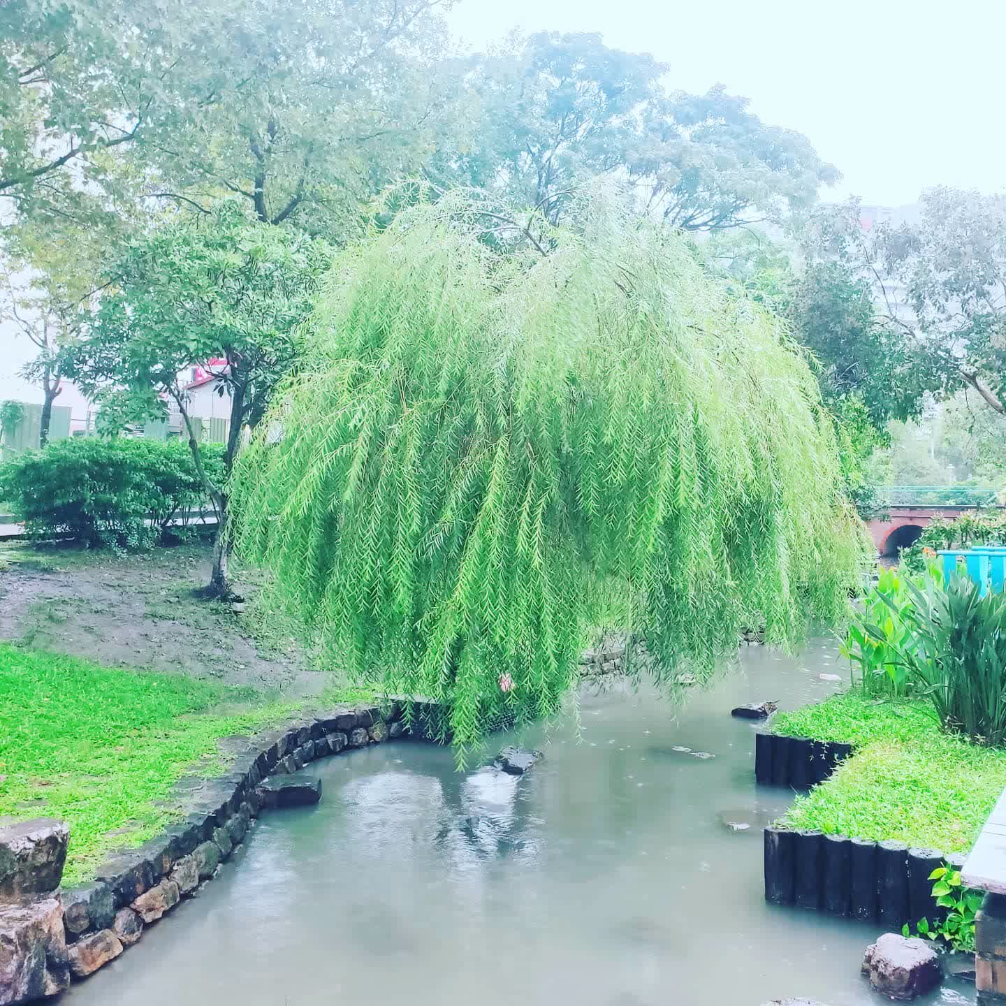 湯圍溝溫泉公園 | 去趣 chicTrip