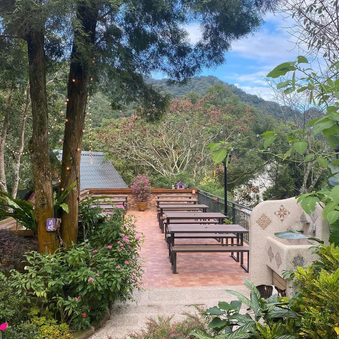 南庄橄欖樹 | 咖啡廳 ‧ 民宿 | Olive Tree Guesthouse & Café | 去趣 chicTrip