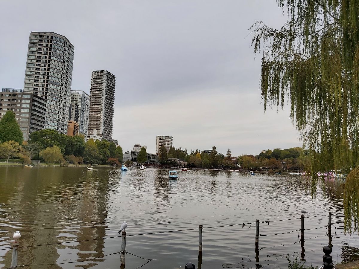 上野恩賜公園 | 去趣 chicTrip