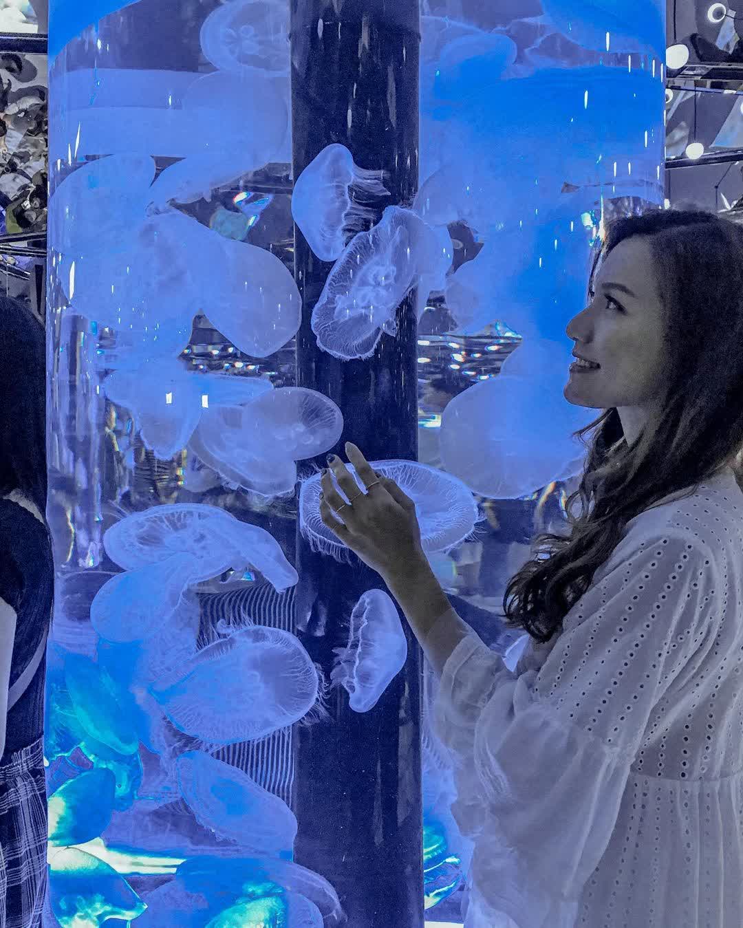 Xpark 水族館 | 去趣 chicTrip