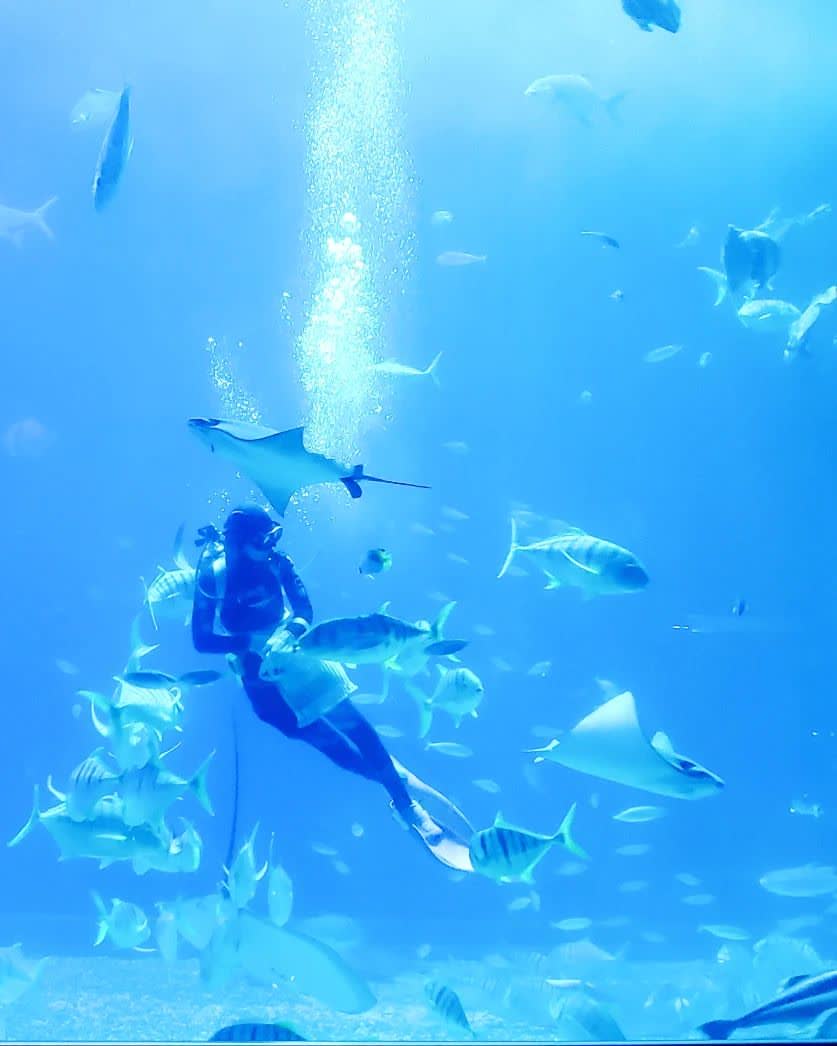 國立海洋生物博物館 | 去趣 chicTrip