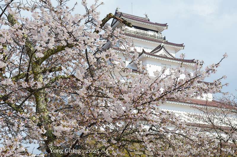 會津若松城 | 去趣 chicTrip
