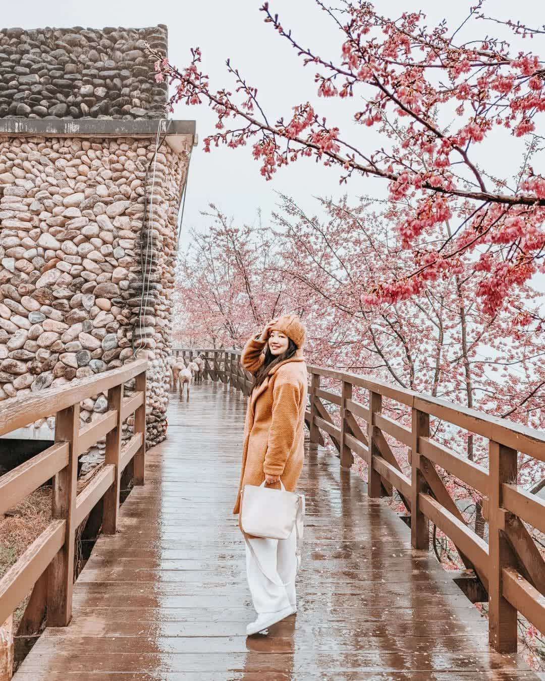 清境農場青青草原 | 去趣 chicTrip