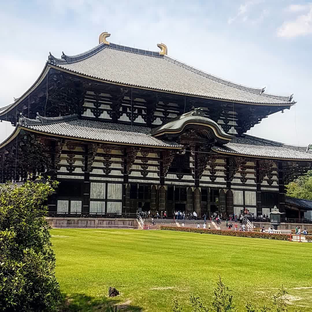 奈良公園 | 去趣 chicTrip