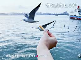 Wolmido Cruise | 去趣 chicTrip