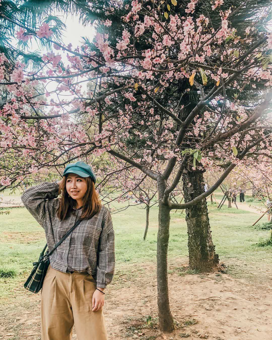 麗池公園 | 去趣 chicTrip