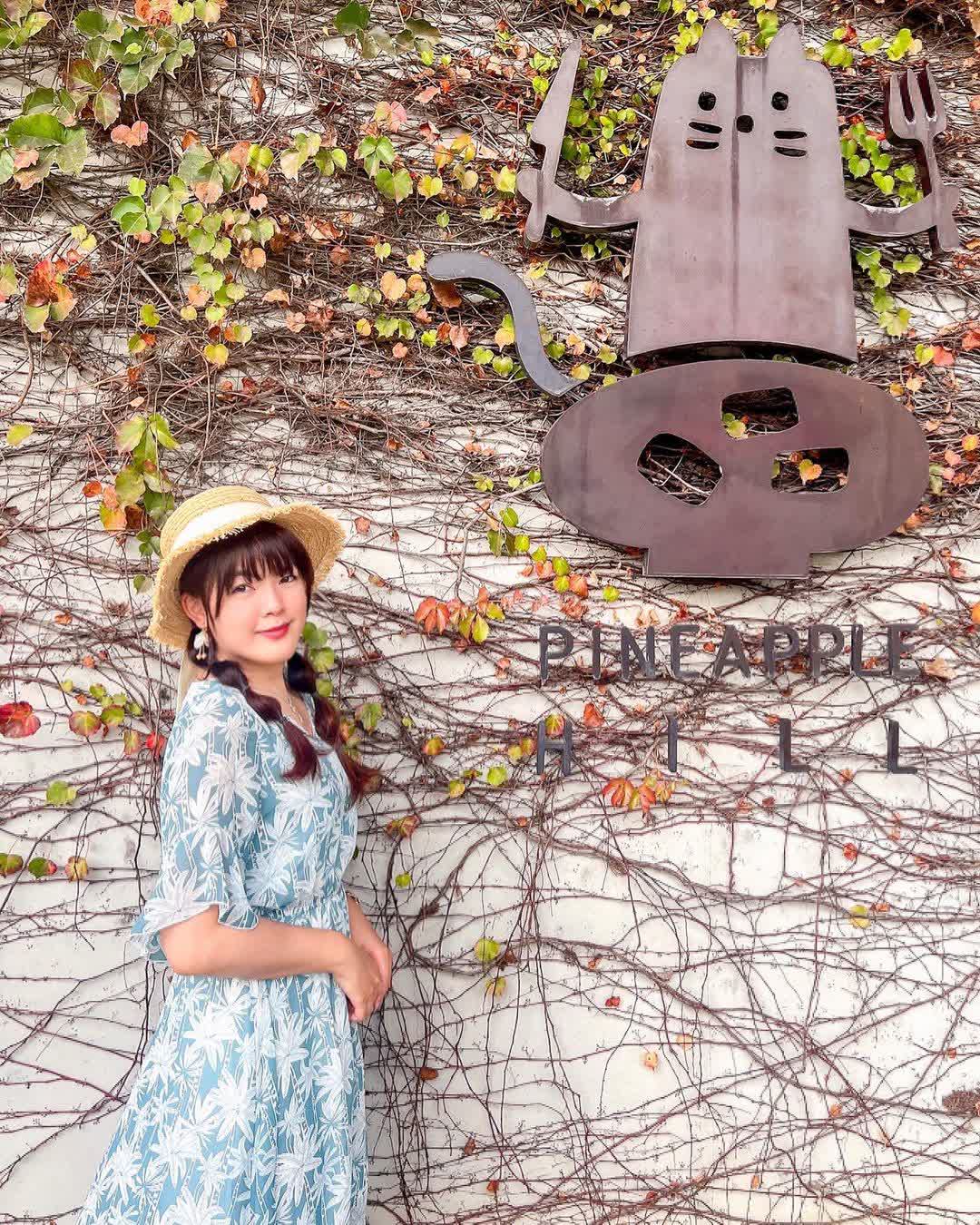 阿美鳳梨