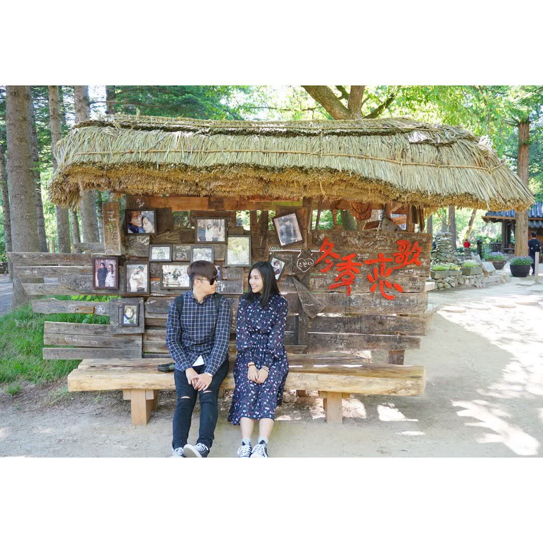 南怡島남이섬 | 去趣 chicTrip