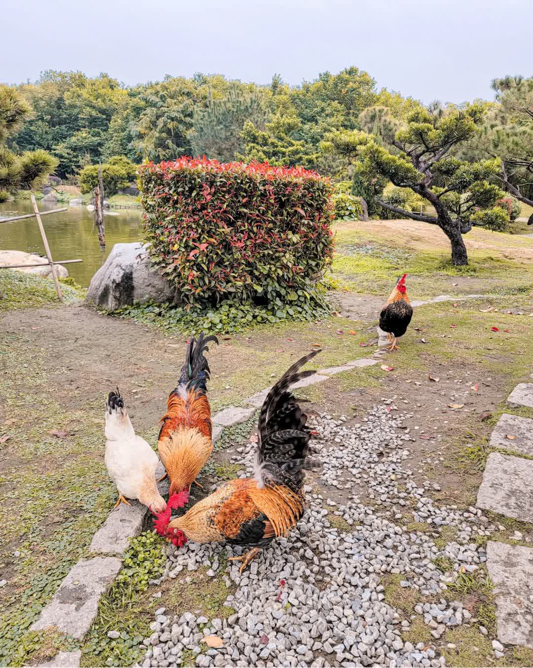 澄霖沉香味道森林館 | 去趣 chicTrip