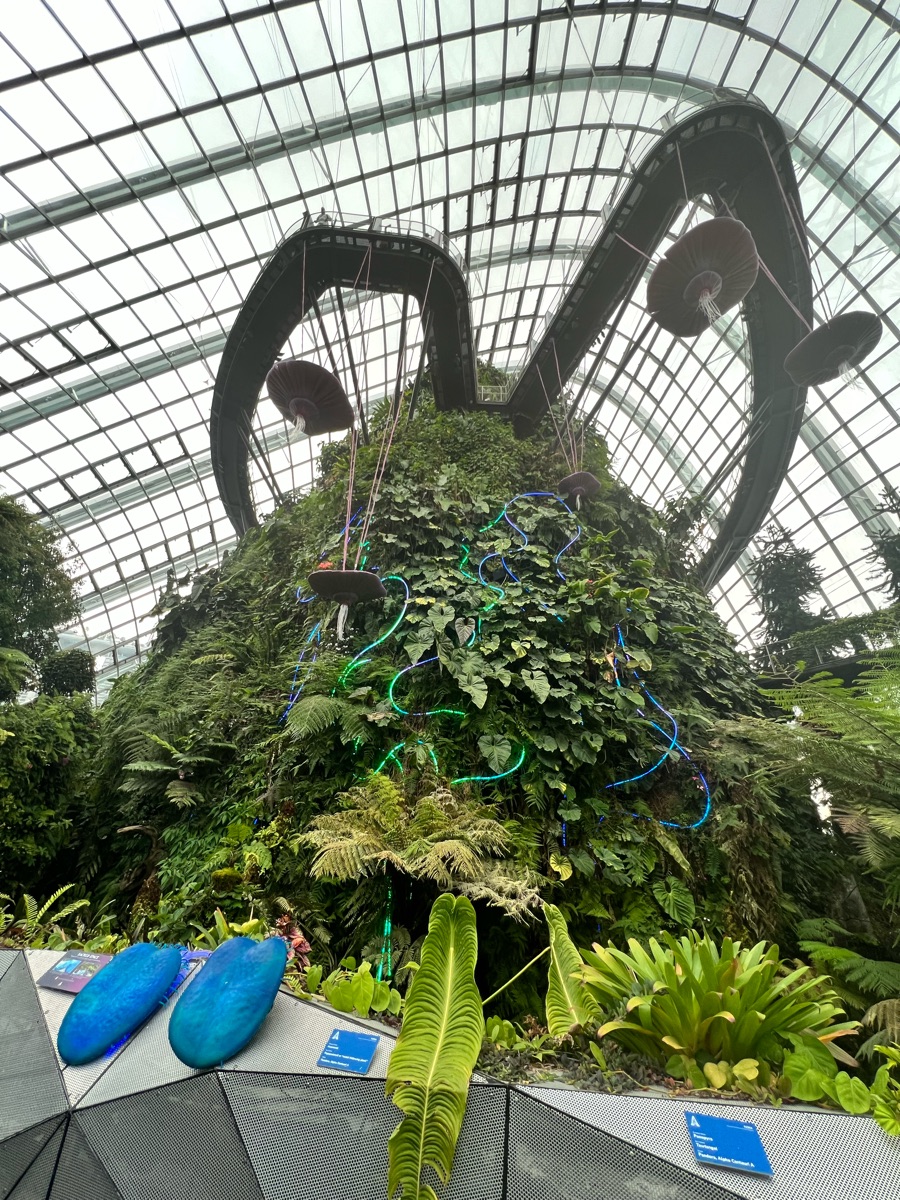 濱海灣花園 | 去趣 chicTrip