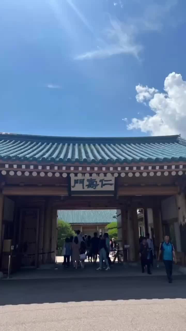 Blue House (Cheong Wa Dae) | 去趣 chicTrip